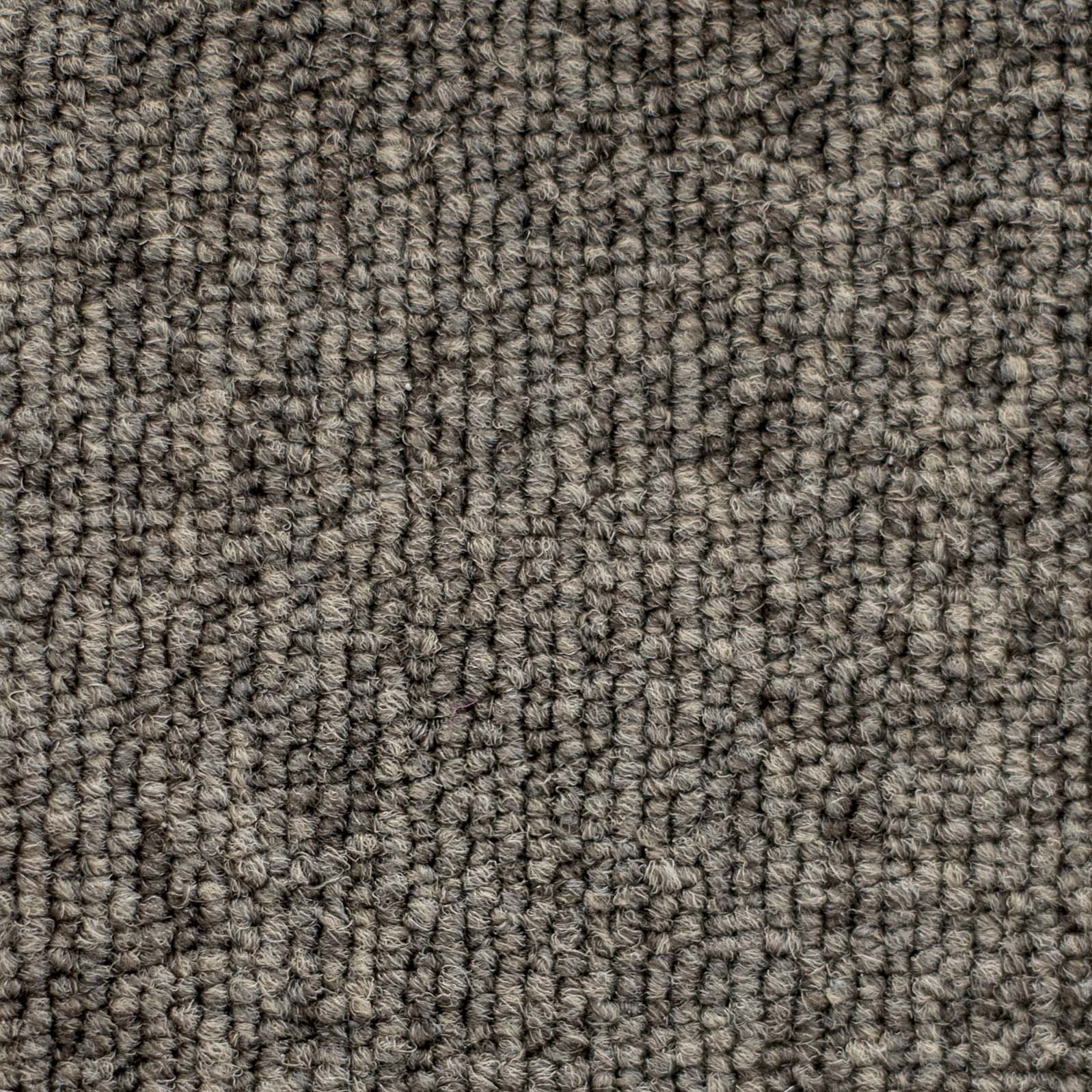 Ковролин "Зартекс" Daily 68 коричневый (4м) — купить в Ялте