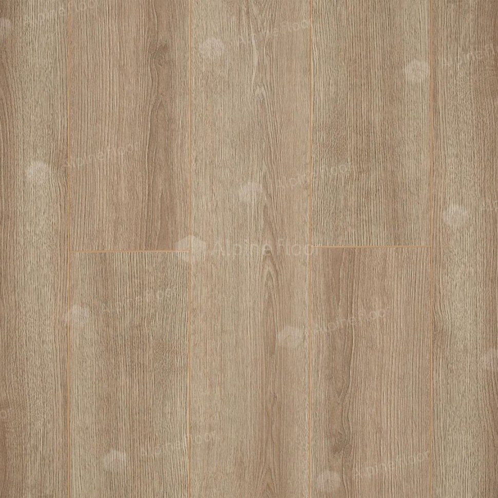 Ламинат "Camsan" Дуб Кашемир (1380*190*10 мм) — купить в Ялте
