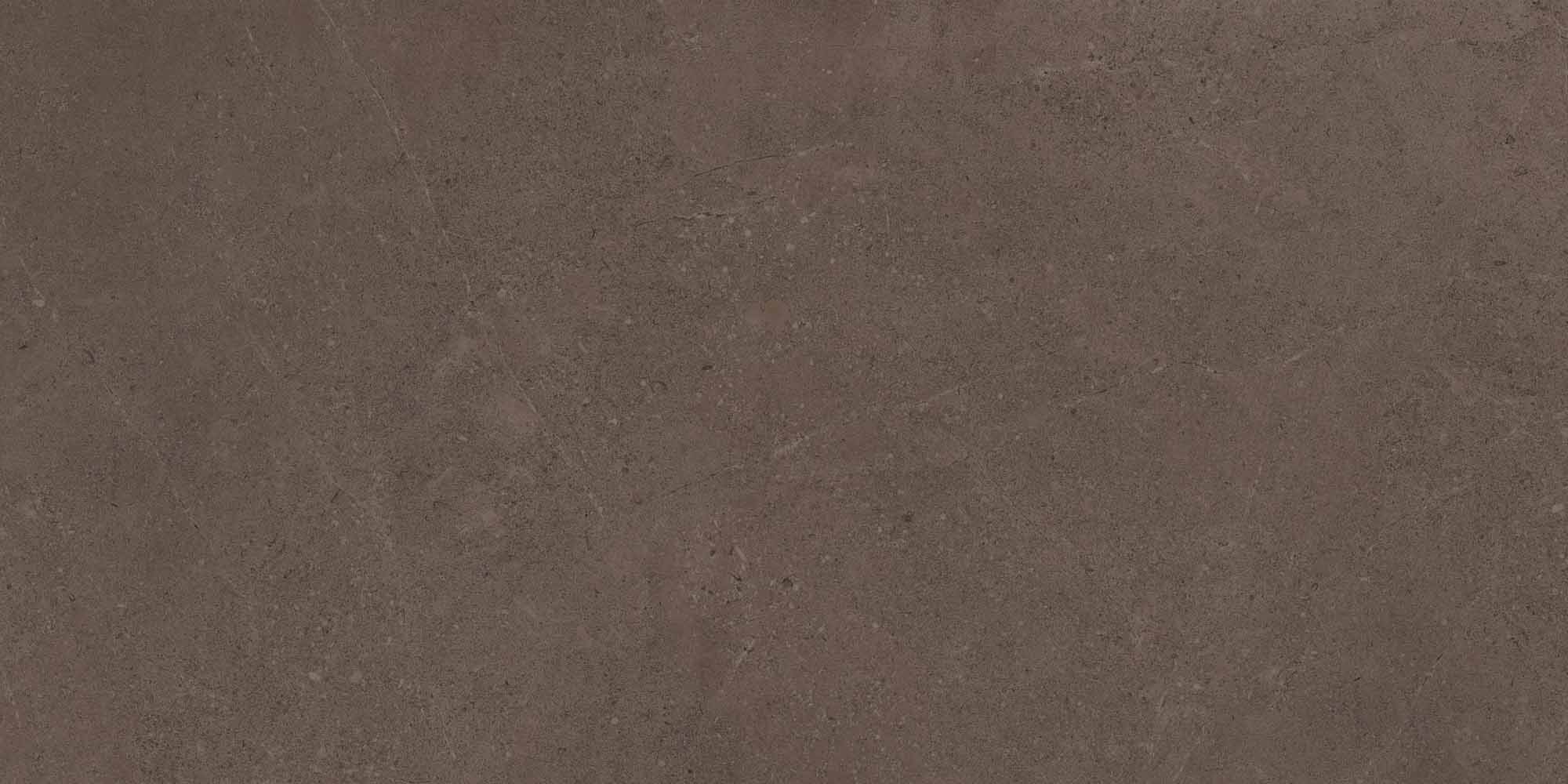 Керамогранит Gobi Brown Grey 600x1200 неполированный ректификат GO03 — купить в Ялте